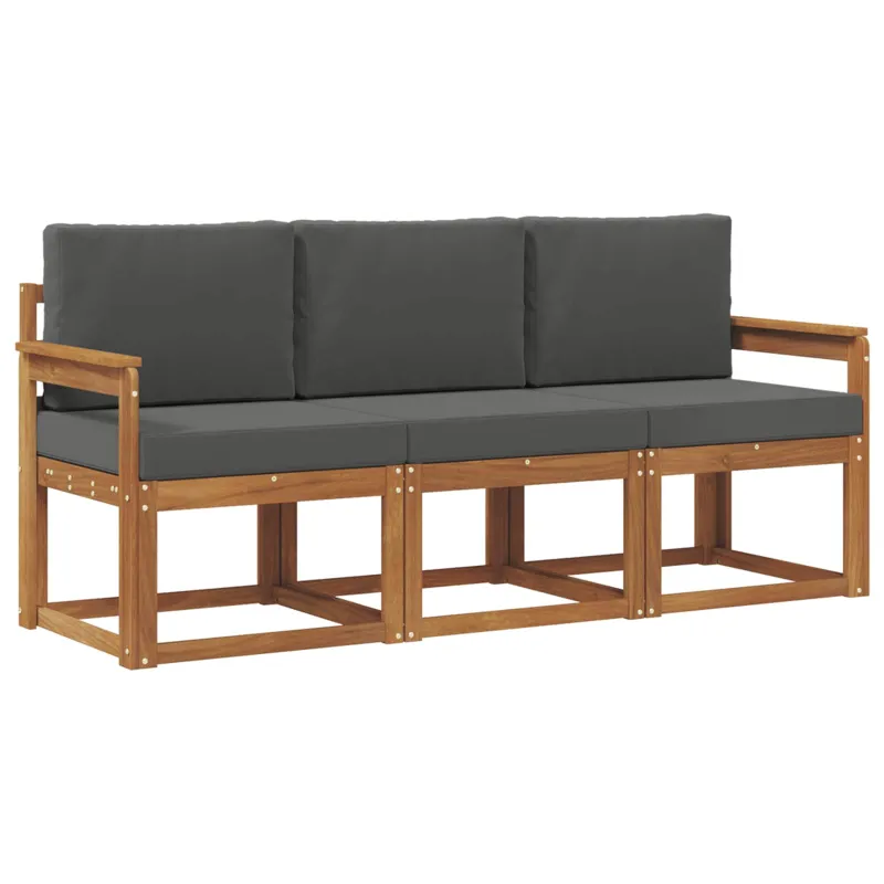 Lauko sofos komplektas su pagalve 3 pcs Natūralus ir antracitas
