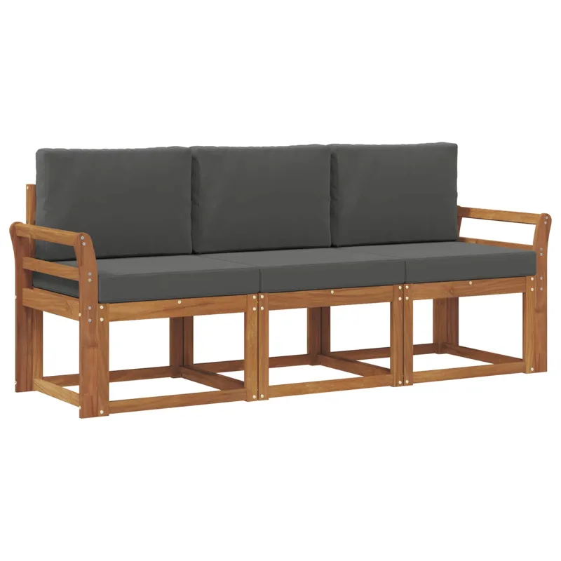 Lauko sofos komplektas su pagalve 3 pcs Natūralus ir antracitas