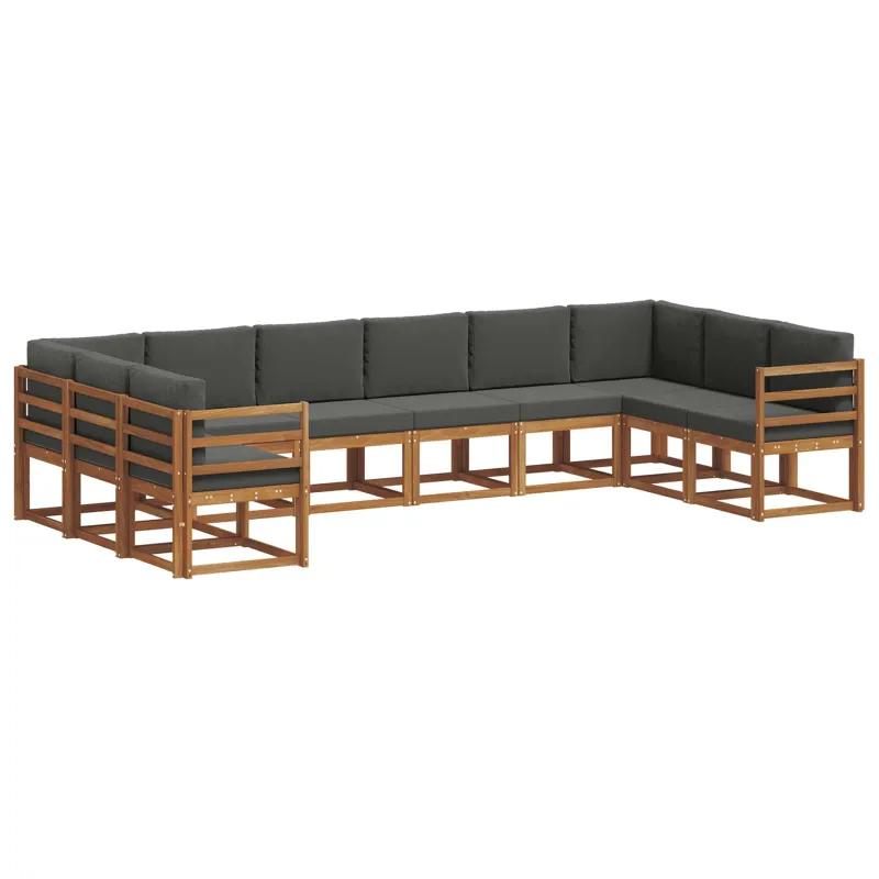Lauko sofos komplektas 10 pcs Natūralus ir antracitas