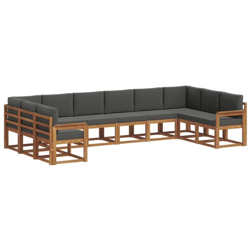 Lauko sofos komplektas 10 pcs Natūralus ir antracitas