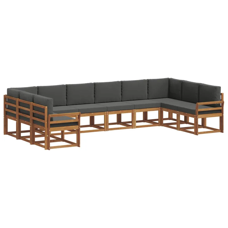 Lauko sofos komplektas 10 pcs Natūralus ir antracitas