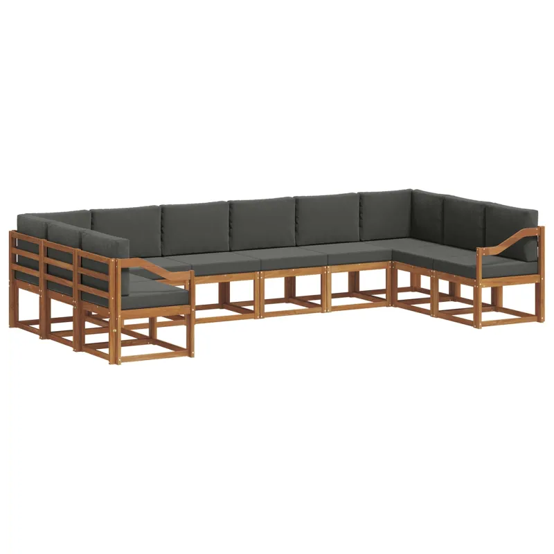 Lauko sofos komplektas 10 pcs Natūralus ir antracitas