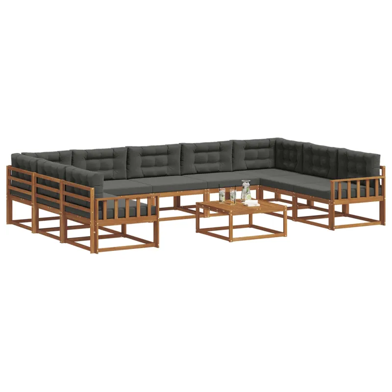 Lauko sofos komplektas 10 pcs Natūralus ir antracitas