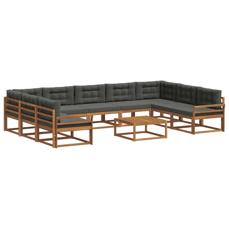 Lauko sofos komplektas 10 pcs Natūralus ir antracitas