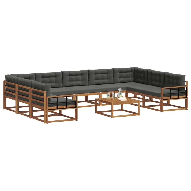 Lauko sofos komplektas 10 pcs Natūralus ir antracitas