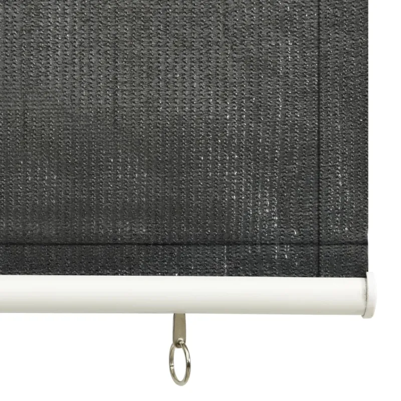 Lauko roletas, antracito spalvos, 60x140cm