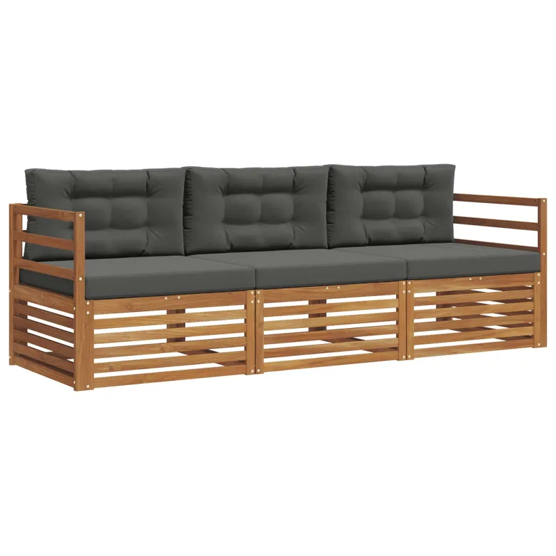 Lauko sofos komplektas su pagalve 3 pcs Natūralus ir antracitas