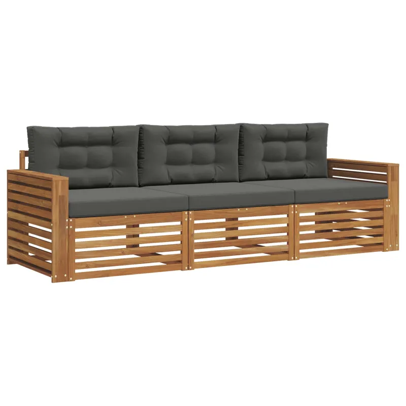 Lauko sofos komplektas su pagalve 3 pcs Natūralus ir antracitas