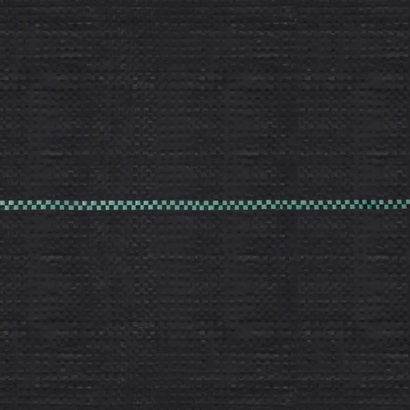 Agroplėvelė nuo piktžolių ir šaknų, juoda, 1x200m, PP