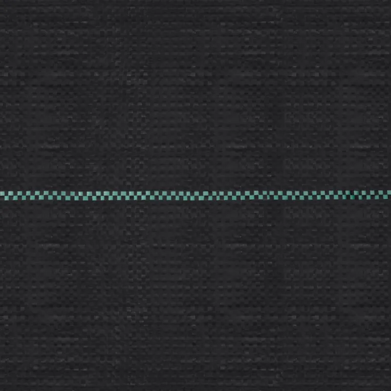 Agroplėvelė nuo piktžolių ir šaknų, juoda, 2x50m, PP