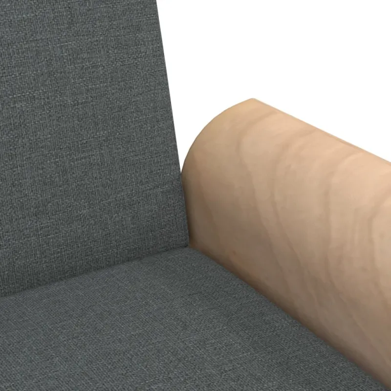 Dvivietė sofa-lova su pagalvėmis ir pakoja, pilka, aksomas