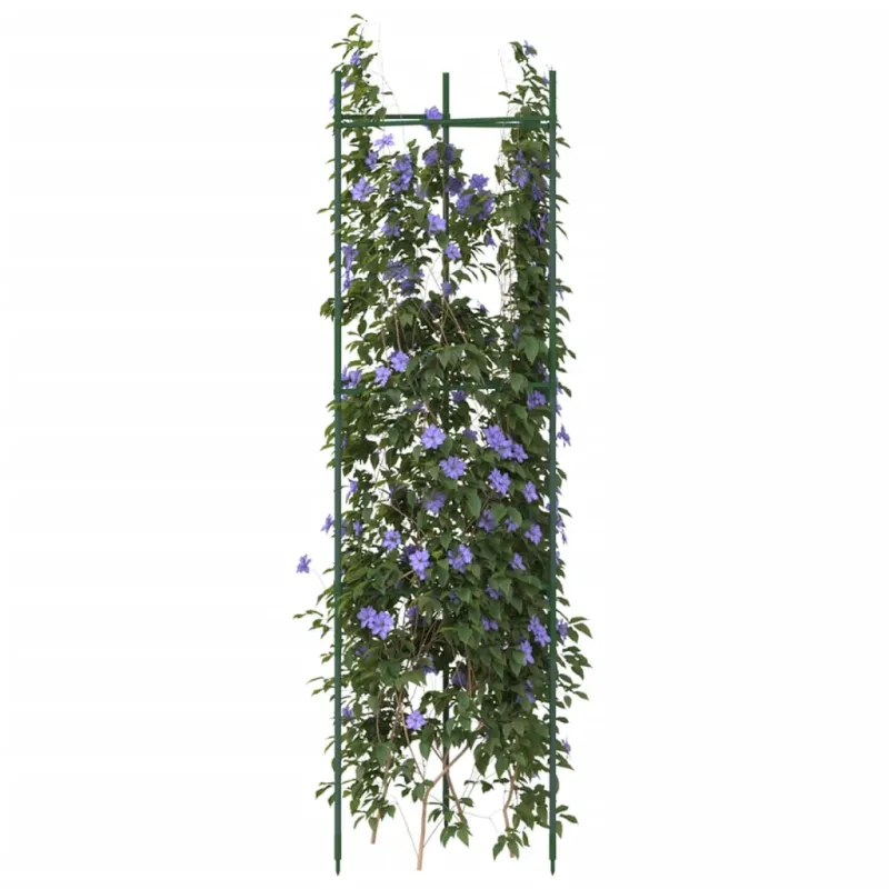 Pomidorų narvai, 6vnt., 116 cm Plienas ir PP