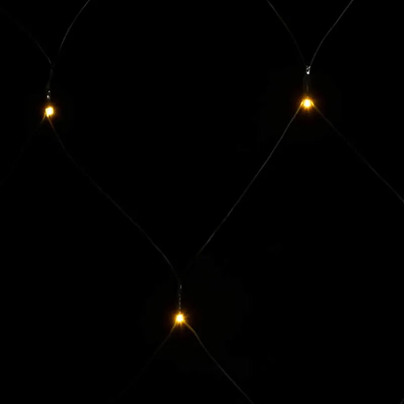 Kalėdinių lempučių tinklas, 3x2m, 204 šiltos baltos LED