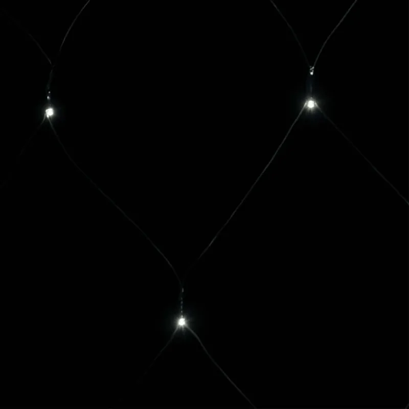 Kalėdinių lempučių tinklas, 3x3m, 306 šaltos baltos LED