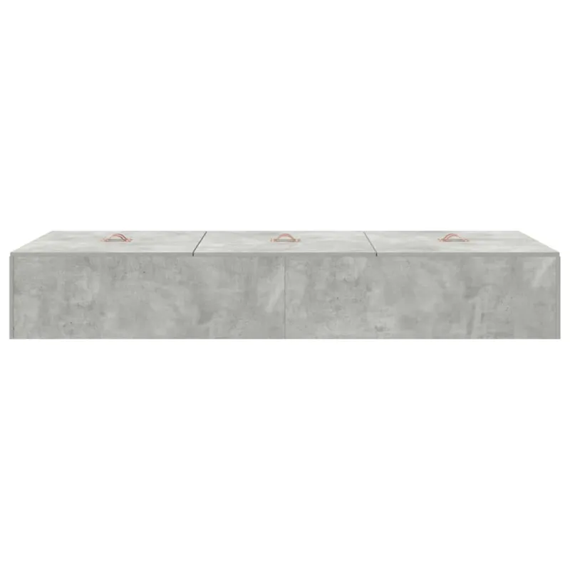 Lova su daiktų laikymo vieta Betono pilka 80 x 200 cm