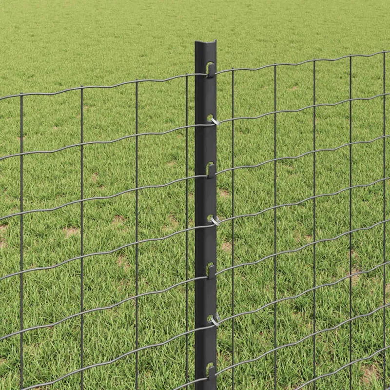 Suvirinto vielos tvoros 10 x 0,8 m (P x A) PVC dengtas plienas