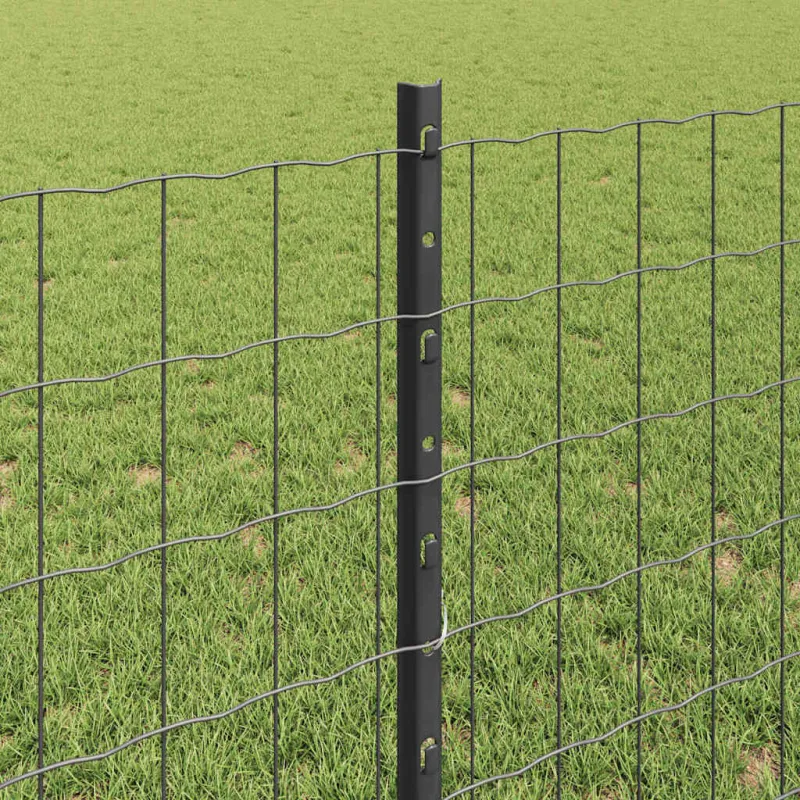 Suvirinto vielos tvoros 10 x 0,8 m (P x A) PVC dengtas plienas