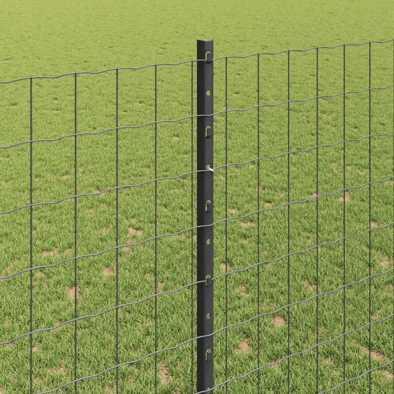 Suvirinto vielos tvoros 10 x 1,4 m (P x A) PVC dengtas plienas