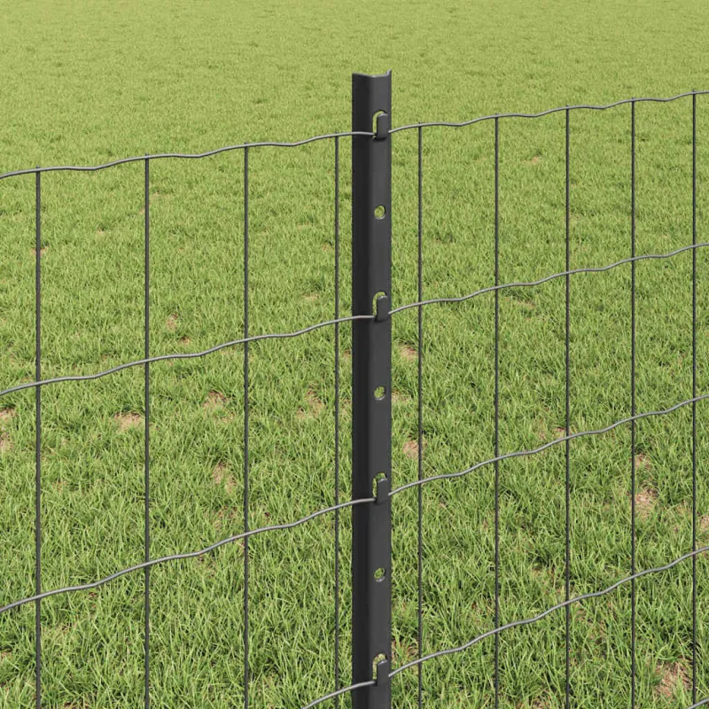 Suvirinto vielos tvoros 10 x 0,8 m (P x A) PVC dengtas plienas