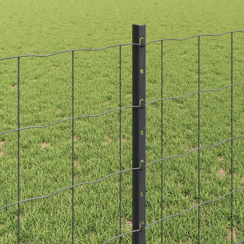 Suvirinto vielos tvoros 10 x 0,8 m (P x A) PVC dengtas plienas