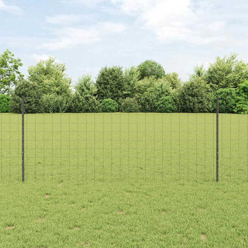 Suvirinto vielos tvoros 10 x 1 m (P x A) PVC dengtas plienas