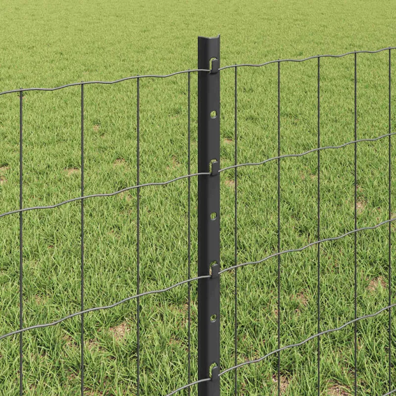 Suvirinto vielos tvoros 25 x 0,6 m (W x H) PVC dengtas plienas