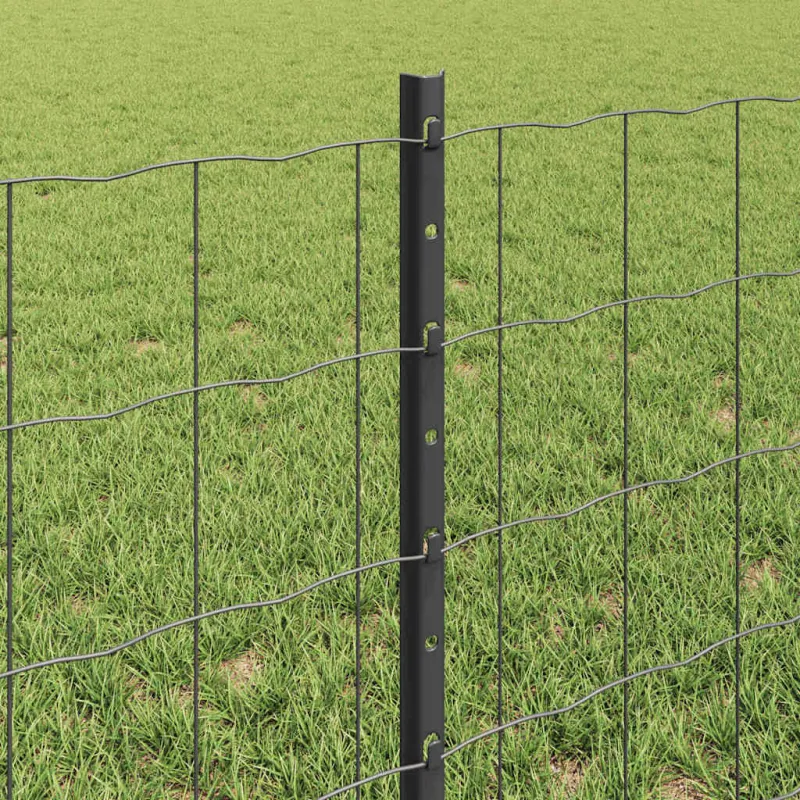 Suvirinto vielos tvoros 25 x 0,6 m (W x H) PVC dengtas plienas