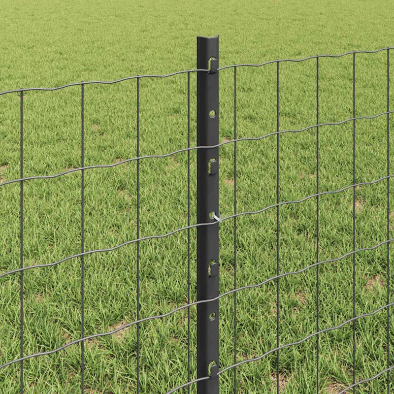 Suvirinto vielos tvoros 50 x 0,6 m (P x A) PVC dengtas plienas