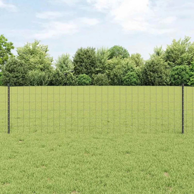 Suvirinto vielos tvoros 50 x 0,6 m (P x A) PVC dengtas plienas