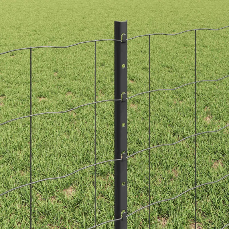 Suvirinto vielos tvoros 50 x 0,6 m (P x A) PVC dengtas plienas