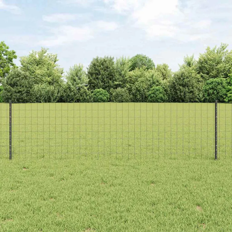 Suvirinto vielos tvoros 50 x 0,6 m (P x A) PVC dengtas plienas