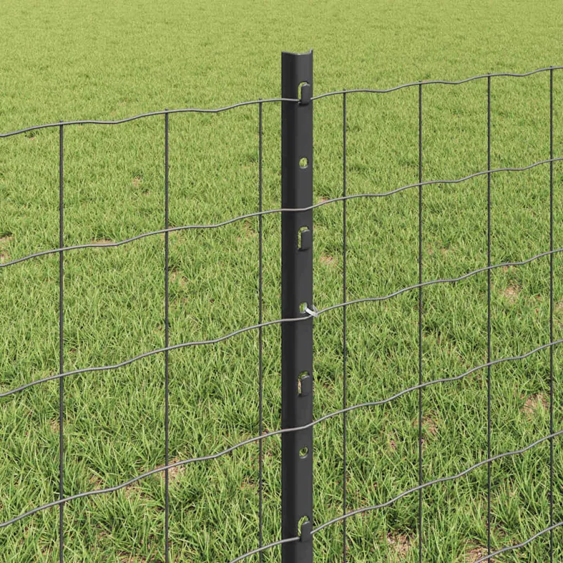 Suvirinto vielos tvoros 50 x 0,6 m (P x A) PVC dengtas plienas