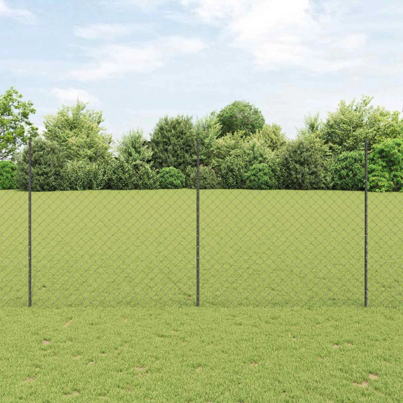 Grandininis apsaugos tinklas su stulpeliu 25 x 1,6 m (A x H)