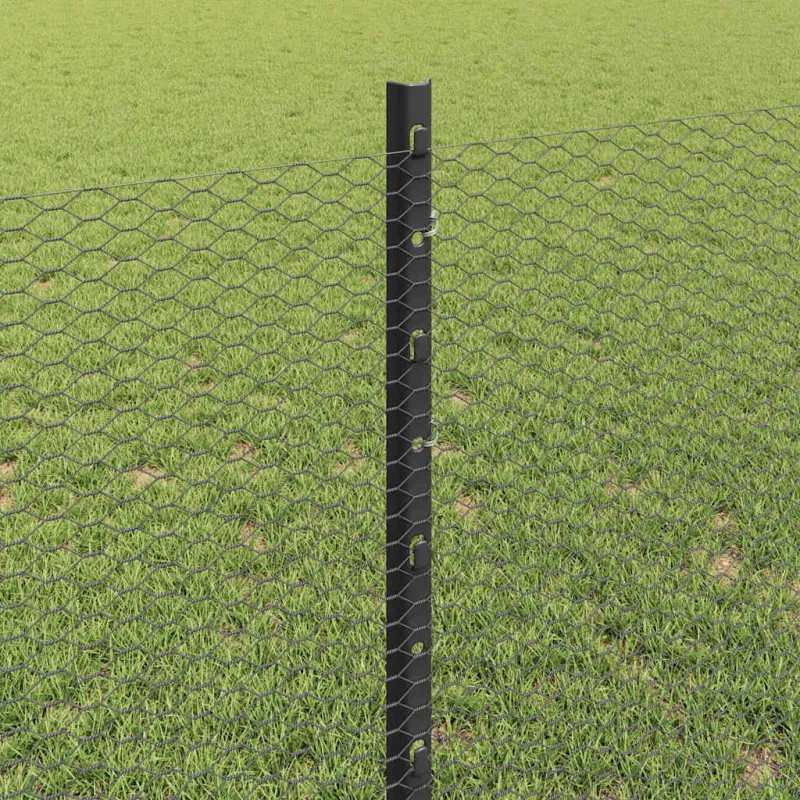 Suvirinto vielos tvoros 10 x 0,8 m (P x A) PVC dengtas plienas