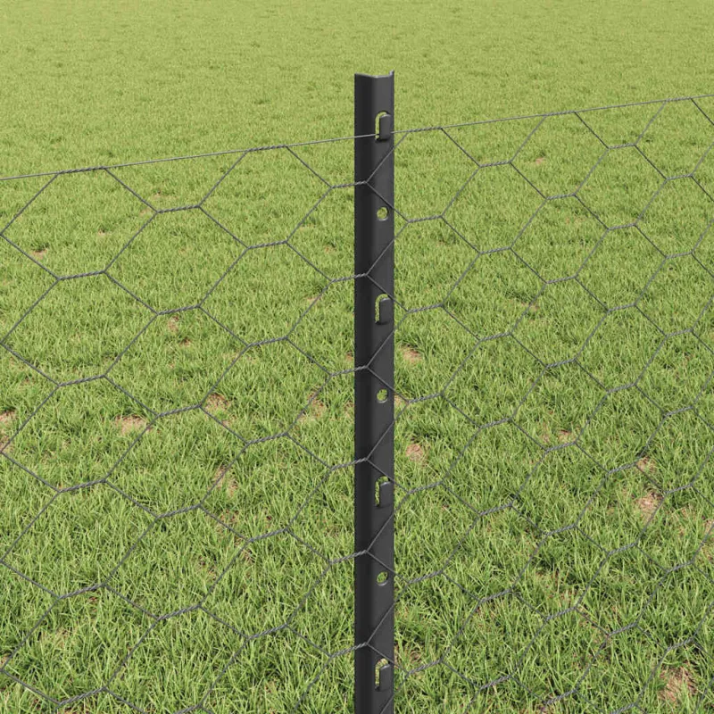 Suvirinto vielos tvoros 10 x 0,8 m (P x A) PVC dengtas plienas