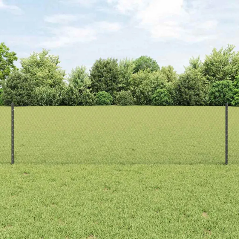 Suvirinto vielos tvoros 25 x 0,6 m (W x H) PVC dengtas plienas