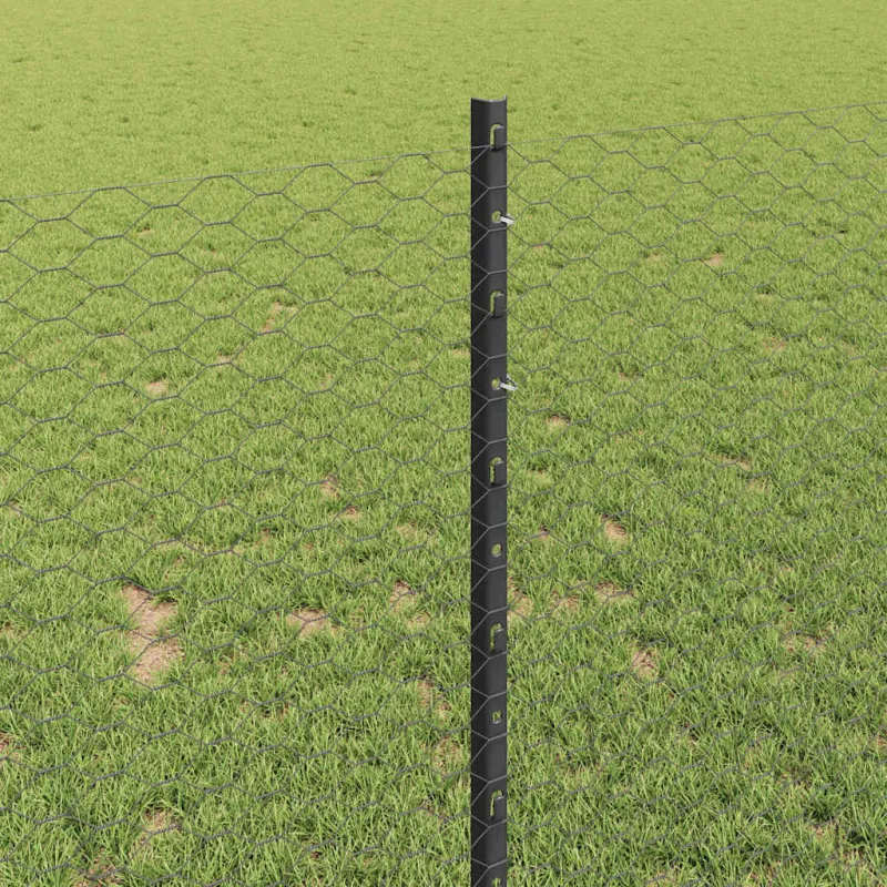 Suvirinto vielos tvoros 25 x 1 m (Plotis x Aukštis)