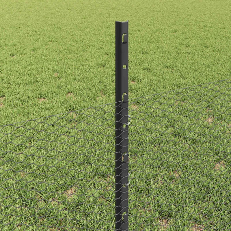 Suvirinto vielos tvoros 50 x 0,5 m (P x A) PVC dengtas plienas