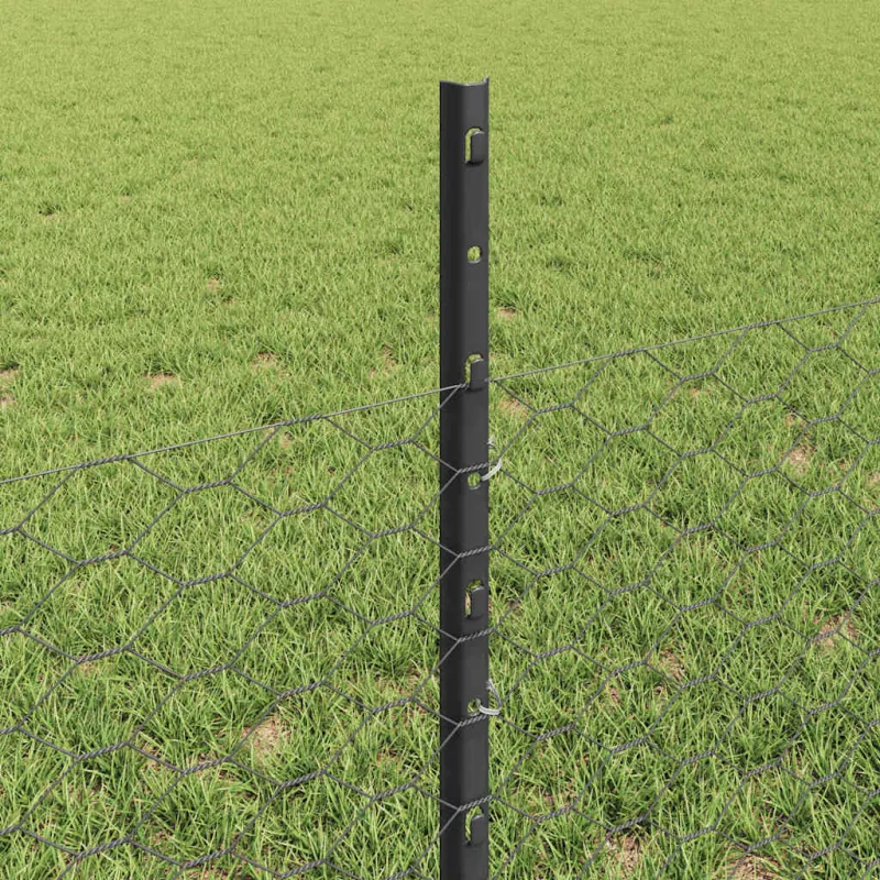 Suvirinto vielos tvoros 50 x 0,5 m (P x A) PVC dengtas plienas