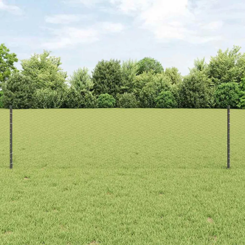 Suvirinto vielos tvoros 50 x 0,6 m (P x A) PVC dengtas plienas