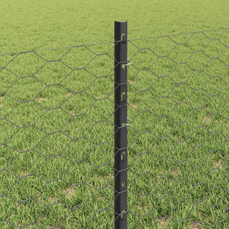 Suvirinto vielos tvoros 50 x 0,6 m (P x A) PVC dengtas plienas