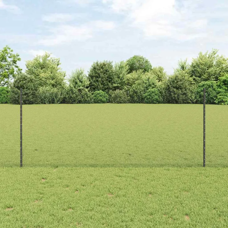 Suvirinto vielos tvoros 50 x 1 m (Plotis x Aukštis)