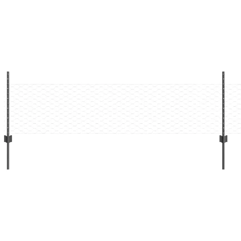 Suvirinto vielos tvoros 100 x 0,5 m (W x H) PVC dengtas plienas