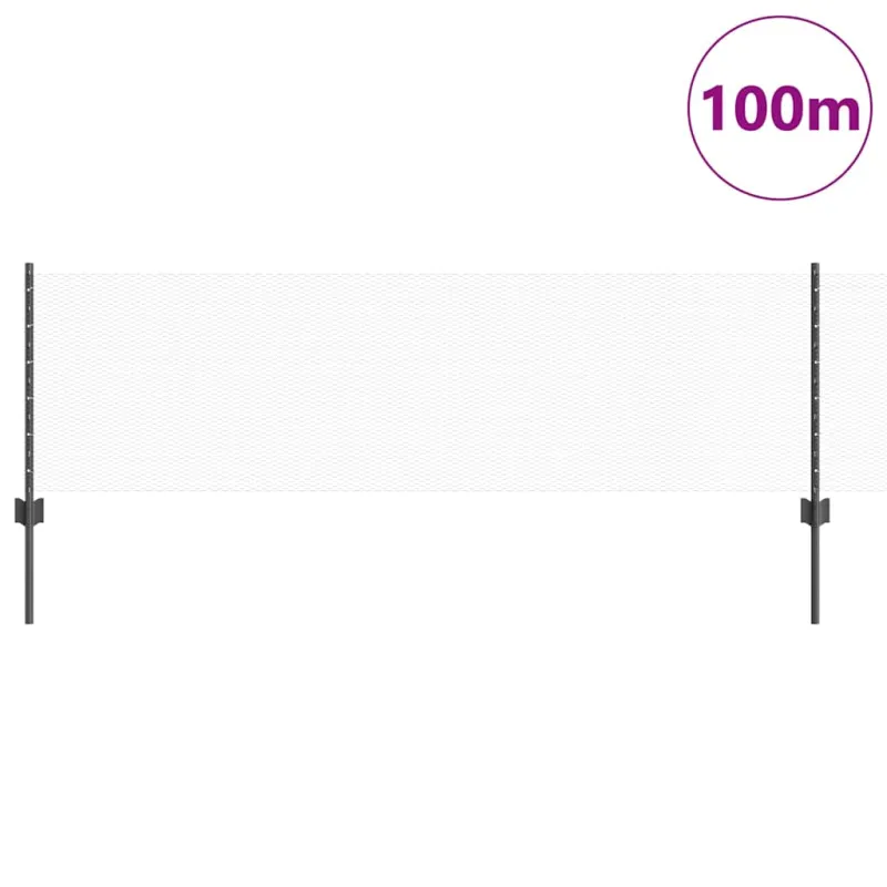 Suvirinto vielos tvoros 100 x 0,6 m (P x A) PVC dengtas plienas