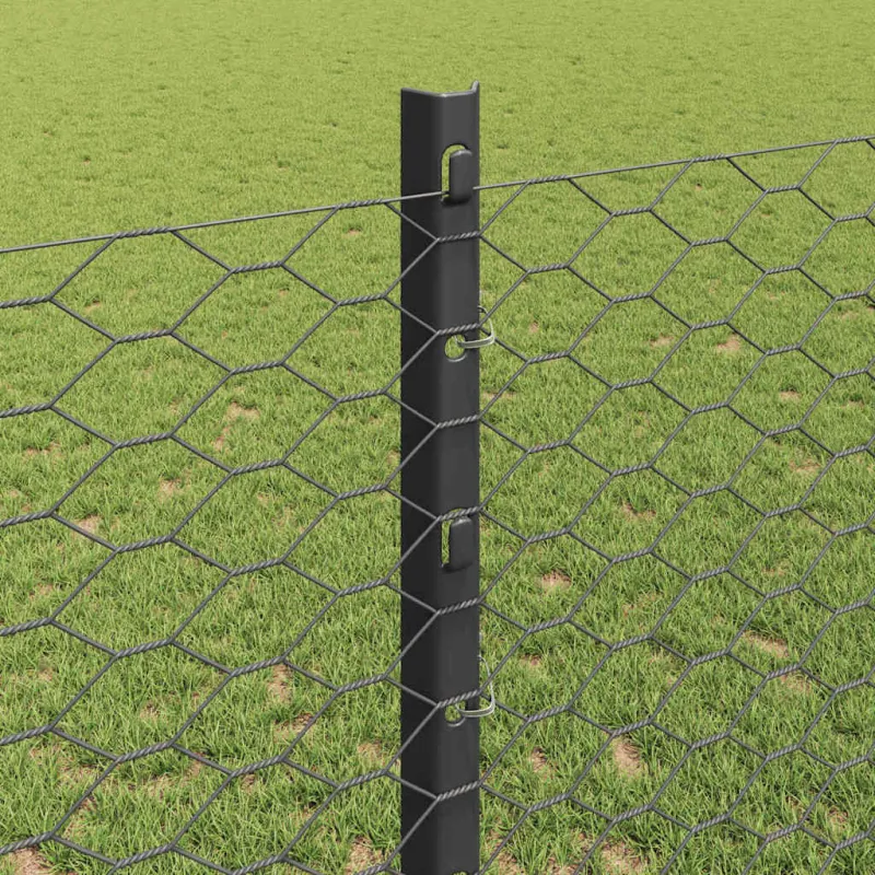 Suvirinto vielos tvoros 100 x 1,2 m (P x A) PVC dengtas plienas