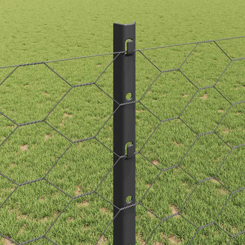 Suvirinto vielos tvoros 100 x 1,2 m (P x A) PVC dengtas plienas