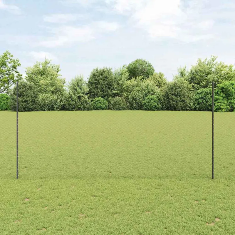 Suvirinto vielos tvoros 100 x 1,6 m (P x A) PVC dengtas plienas