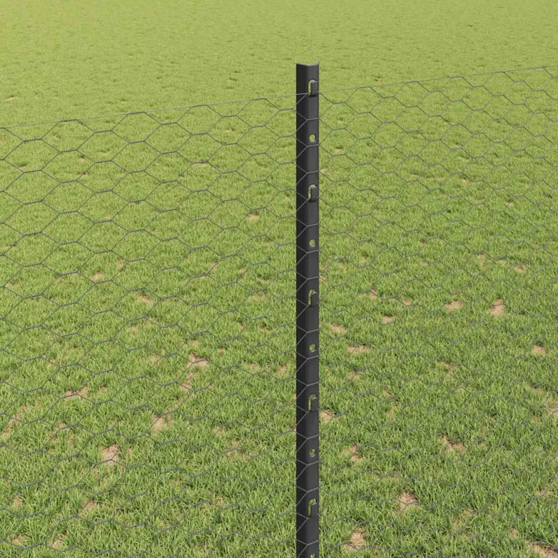 Suvirinto vielos tvoros 100 x 1,6 m (P x A) PVC dengtas plienas