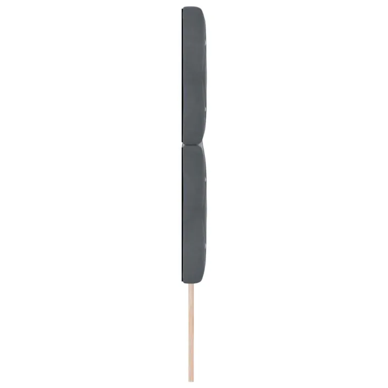 Galvūgalis Tamsiai pilka 160 cm Aksomas