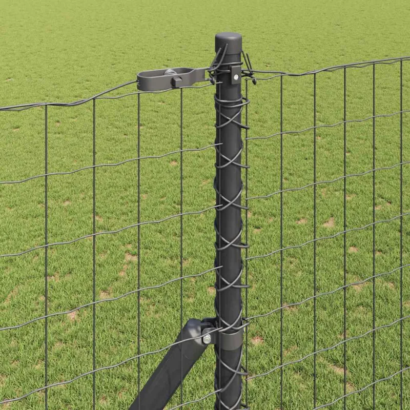 Pagrindo Suvirintas Vielos Tvora 10 x 1,6 m (Plotis x Aukštis)